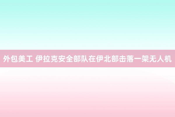 外包美工 伊拉克安全部队在伊北部击落一架无人机