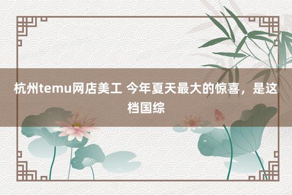 杭州temu网店美工 今年夏天最大的惊喜，是这档国综